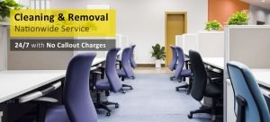 cleaning and removal service