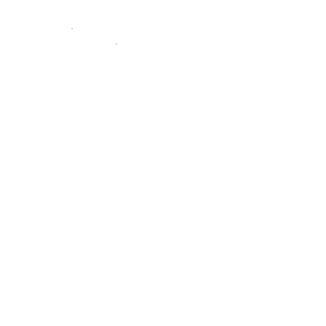 Congestion charge